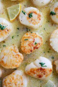 Creamy Garlic Scallops – Rasa Malaysia